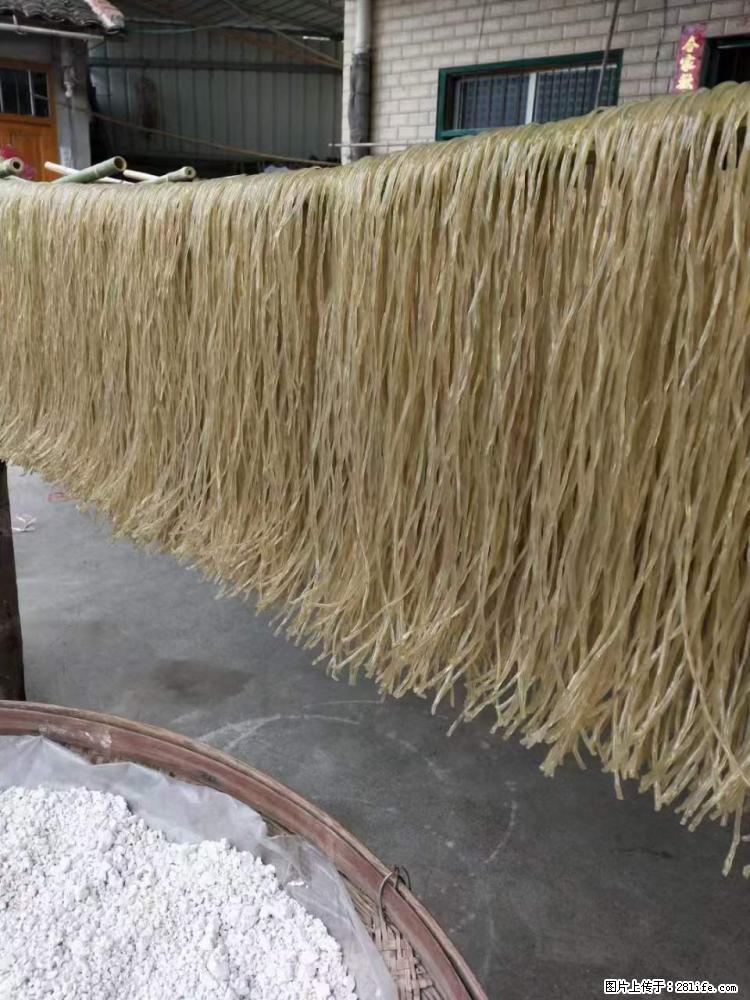 【灌阳正宗红薯粉】美女家里自己做的，干净卫生，假一赔十，价格合理，抢购电话：13737312895 - 土特产 - 饮食特产 - 沧州分类信息 - 沧州28生活网 cangzhou.28life.net
