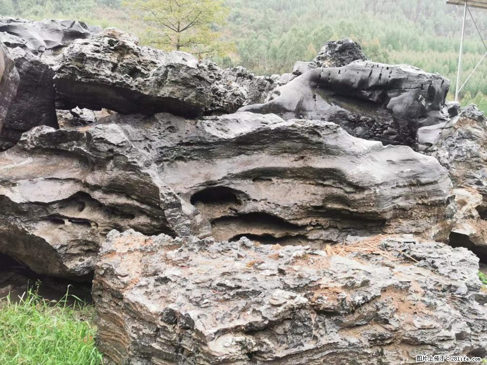 风景石、假山石大量有货，有需要的欢迎联系 - 新手上路 - 沧州生活社区 - 沧州28生活网 cangzhou.28life.net
