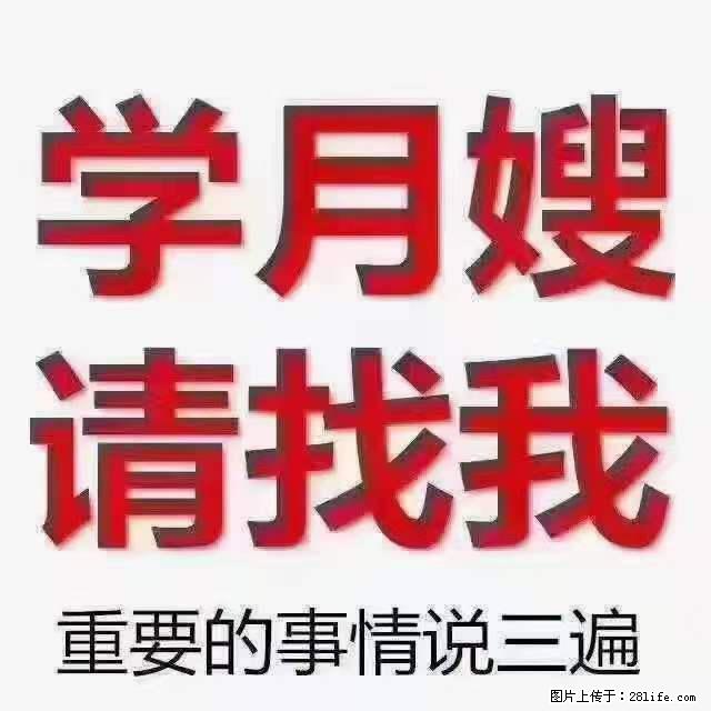为什么要学习月嫂，育婴师？ - 其他广告 - 广告专区 - 沧州分类信息 - 沧州28生活网 cangzhou.28life.net