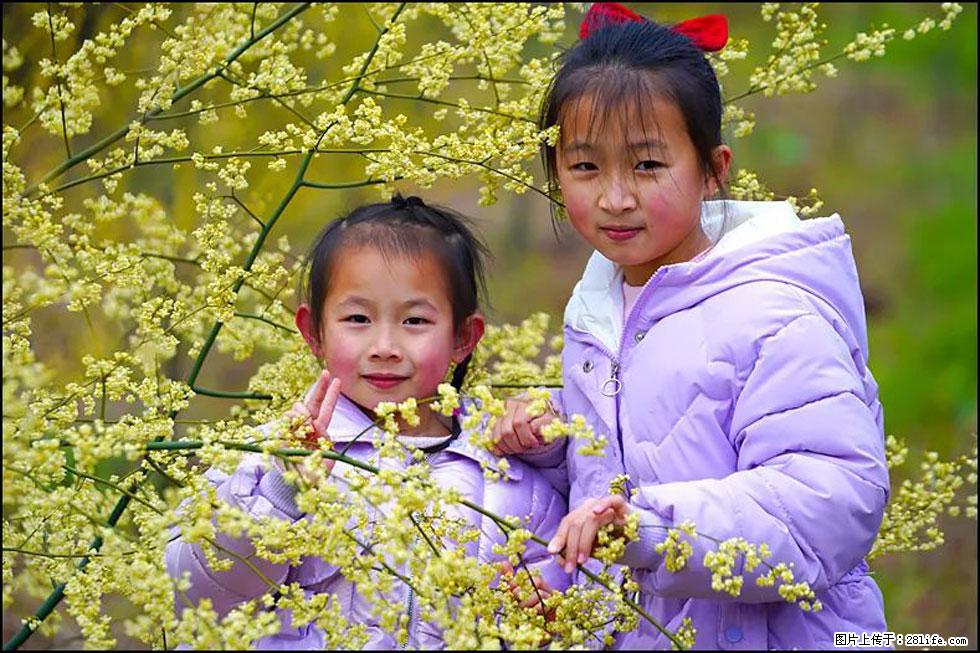【春天，广西桂林灌阳县向您发出邀请！】米珠山前有片山苍子花在飘香 - 游山玩水 - 沧州生活社区 - 沧州28生活网 cangzhou.28life.net