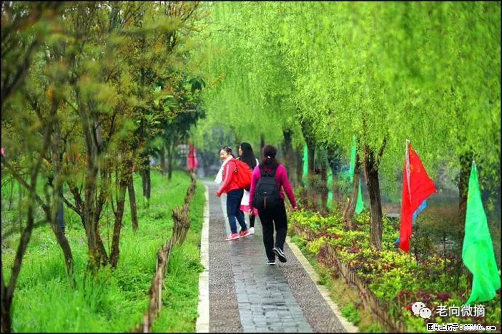 【春天，广西桂林灌阳县向您发出邀请！】江口老街又逢春 - 游山玩水 - 沧州生活社区 - 沧州28生活网 cangzhou.28life.net