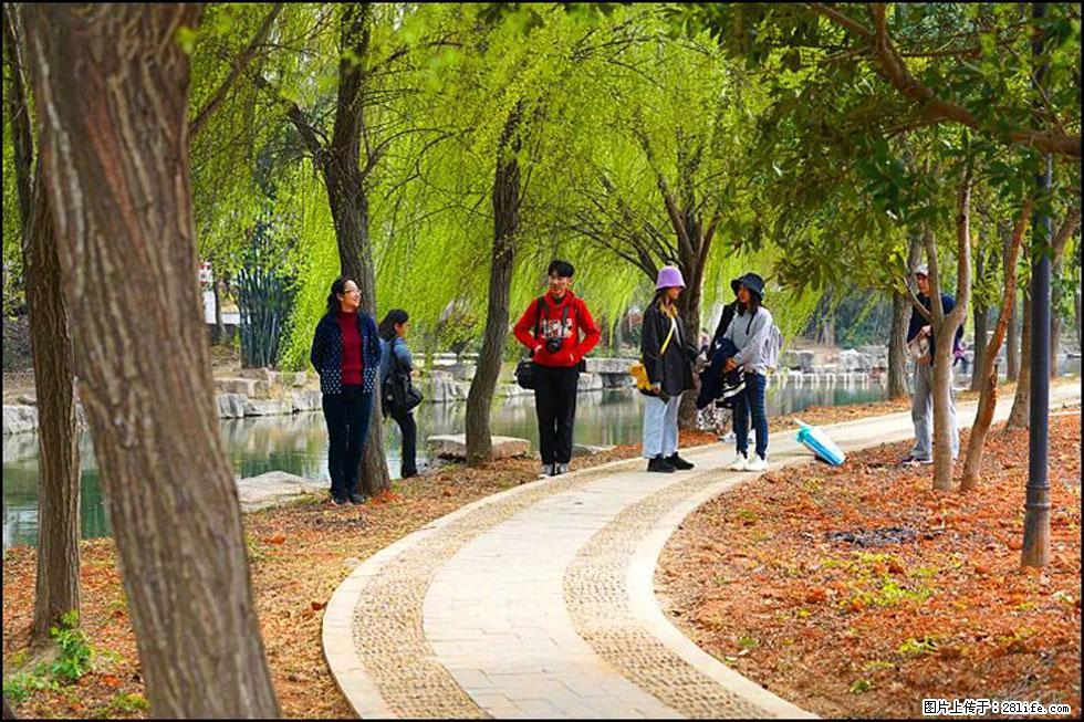 【春天，广西桂林灌阳县向您发出邀请！】江口老街又逢春 - 游山玩水 - 沧州生活社区 - 沧州28生活网 cangzhou.28life.net