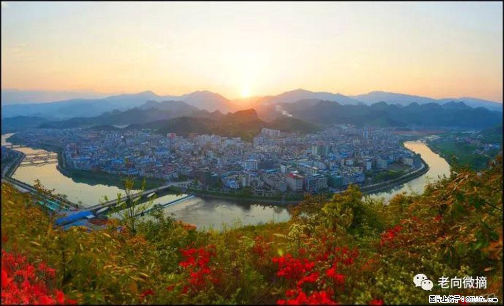 【春天，广西桂林灌阳县向您发出邀请！】登麒麟山，相约映山红 - 游山玩水 - 沧州生活社区 - 沧州28生活网 cangzhou.28life.net