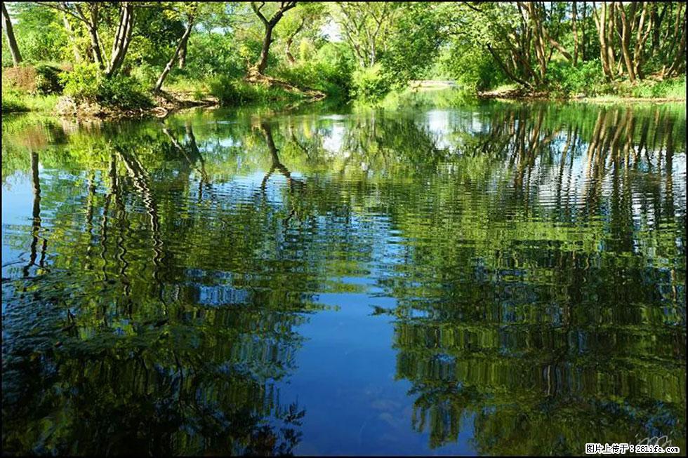 【春天，广西桂林灌阳县向您发出邀请！】熊家寨湿地公园 - 游山玩水 - 沧州生活社区 - 沧州28生活网 cangzhou.28life.net