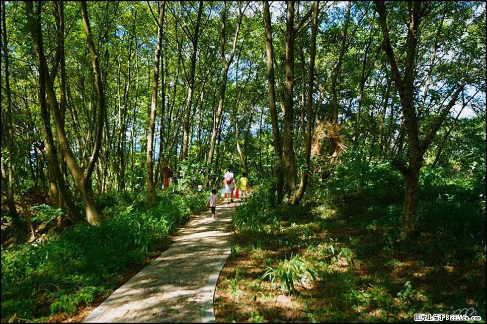 【春天，广西桂林灌阳县向您发出邀请！】熊家寨湿地公园 - 游山玩水 - 沧州生活社区 - 沧州28生活网 cangzhou.28life.net