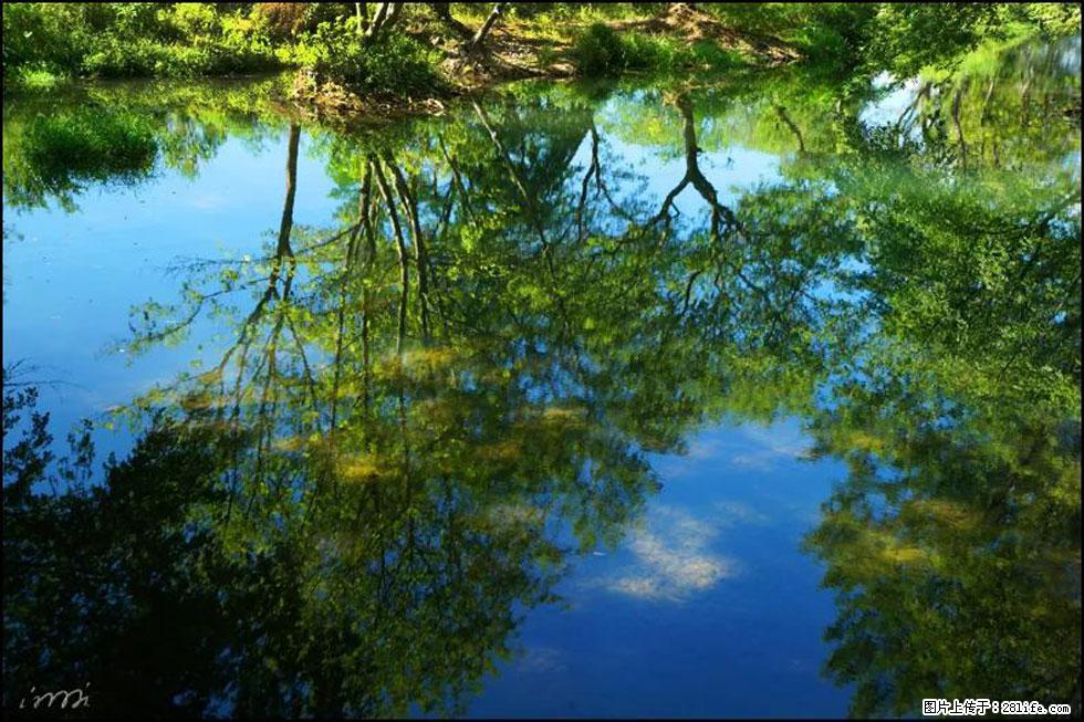 【春天，广西桂林灌阳县向您发出邀请！】熊家寨湿地公园 - 游山玩水 - 沧州生活社区 - 沧州28生活网 cangzhou.28life.net