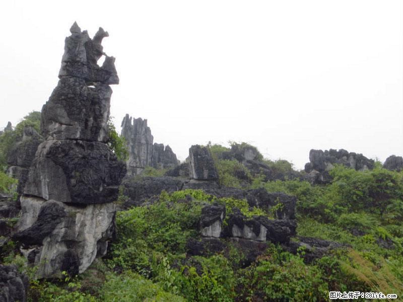 桂林旅游名城景点：灌阳文市石林 - 游山玩水 - 沧州生活社区 - 沧州28生活网 cangzhou.28life.net
