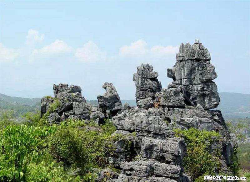 桂林旅游名城景点：灌阳文市石林 - 游山玩水 - 沧州生活社区 - 沧州28生活网 cangzhou.28life.net