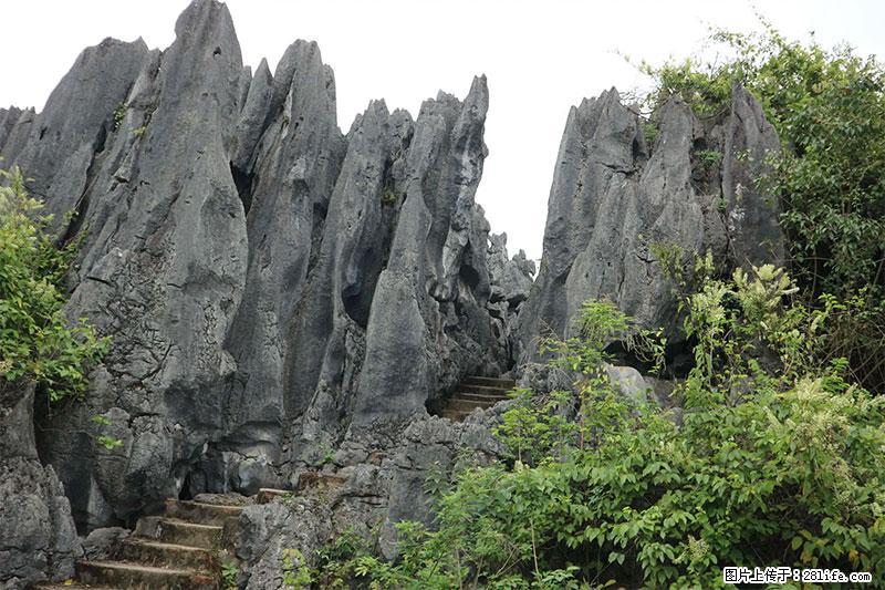 桂林旅游名城景点：灌阳文市石林 - 游山玩水 - 沧州生活社区 - 沧州28生活网 cangzhou.28life.net