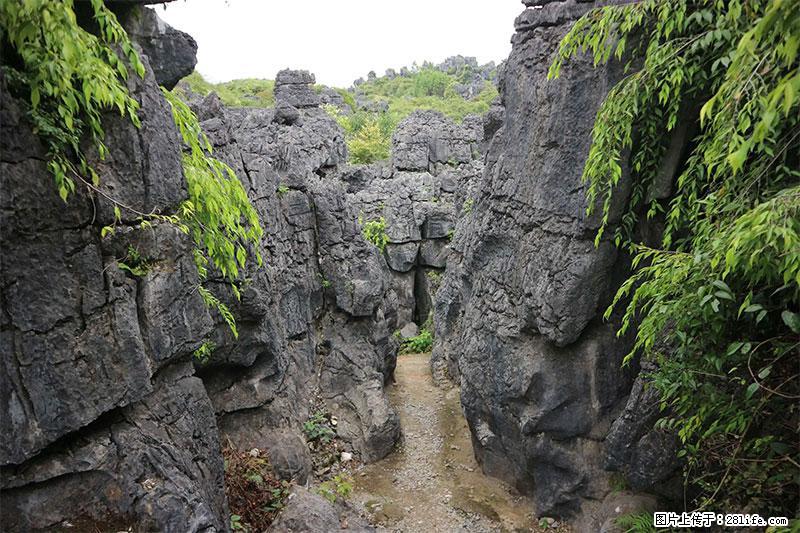 桂林旅游名城景点：灌阳文市石林 - 游山玩水 - 沧州生活社区 - 沧州28生活网 cangzhou.28life.net