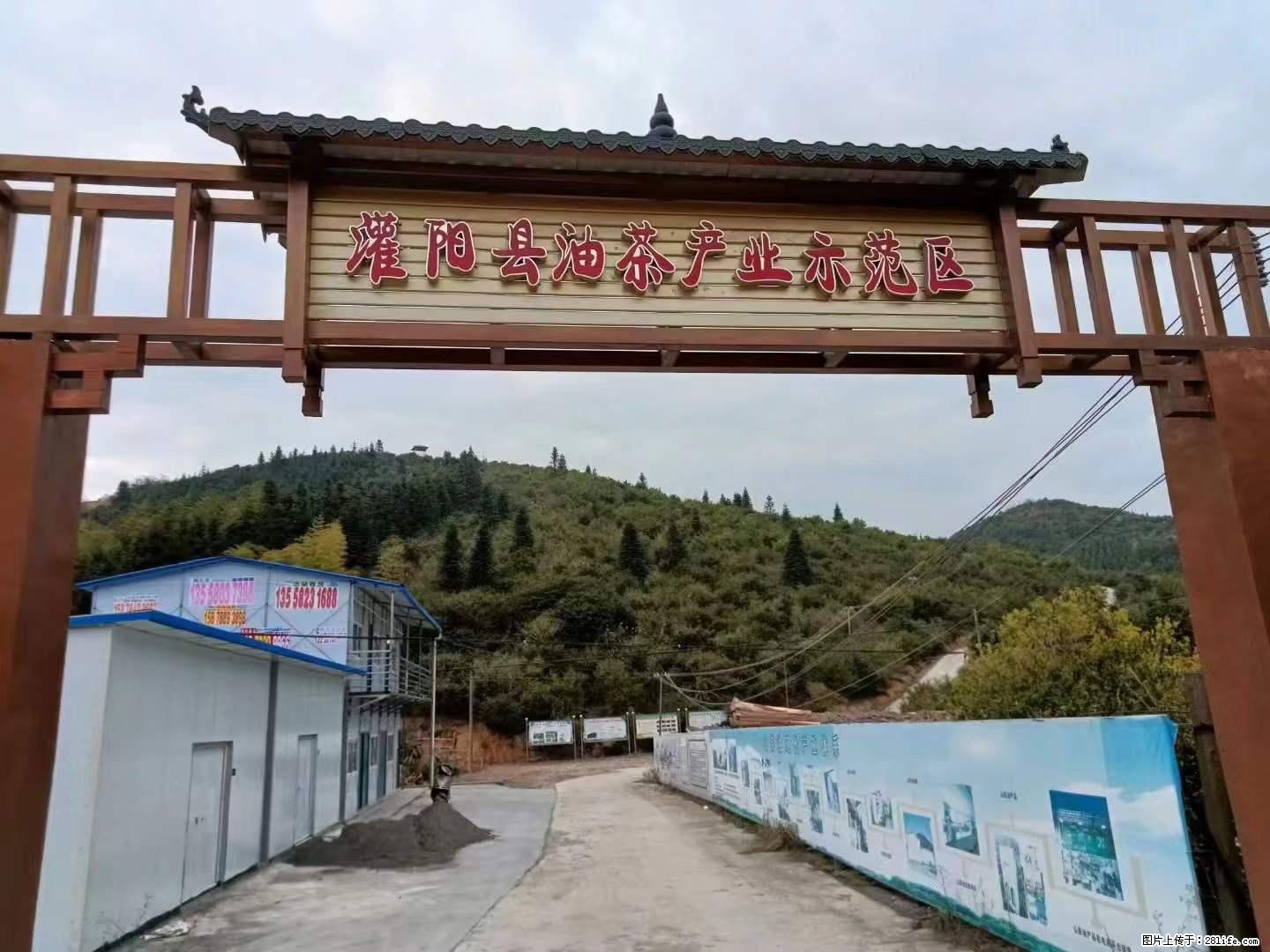 【灌阳县油茶产业示范区】一个有着充实的精神生活的人，对待身外之物自会有一种淡泊的态度 - 土特产 - 饮食特产 - 沧州分类信息 - 沧州28生活网 cangzhou.28life.net