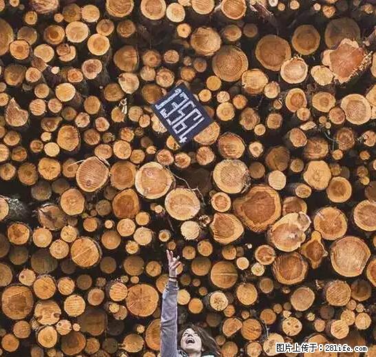 辞掉工作周游世界？现在他们在洗厕所…… - 游山玩水 - 沧州生活社区 - 沧州28生活网 cangzhou.28life.net