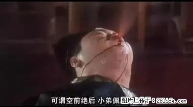 笑癫了！一女的怀孕三年未生，他终于忍不住了... - 娱乐八卦 - 沧州生活社区 - 沧州28生活网 cangzhou.28life.net