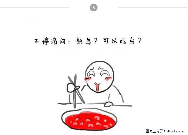 千万不要和这9种哈卵一起吃火锅！ - 美食天地 - 沧州生活社区 - 沧州28生活网 cangzhou.28life.net