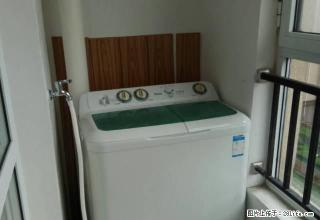 塞纳左岸2楼16楼多套一室二室三室东西全月租1200元没冰箱 - 沧州28生活网 cangzhou.28life.net