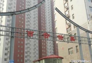 百合世嘉 中等装修 拎包入住 环境好 - 沧州28生活网 cangzhou.28life.net