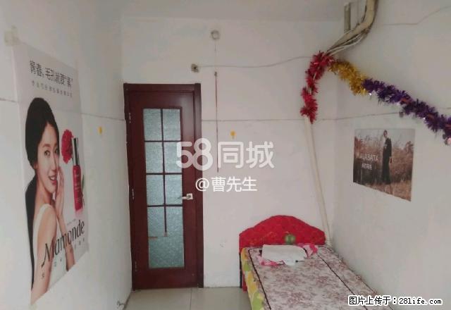 北环交通局小区 2室1厅1卫 - 房屋出租 - 房屋租售 - 沧州分类信息 - 沧州28生活网 cangzhou.28life.net