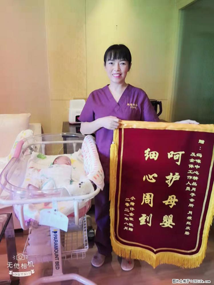 上海高端月子会所招新手月嫂，零基础带教，包吃住 - 职场交流 - 沧州生活社区 - 沧州28生活网 cangzhou.28life.net