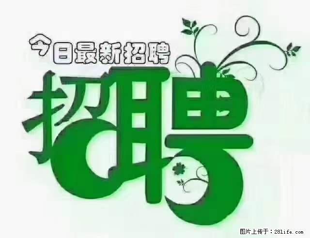 【招聘摄像师】待遇：试用期6000元/月，转正7000元/月+五险一金+餐补+节日福利+奖金 - 其他招聘信息 - 招聘求职 - 沧州分类信息 - 沧州28生活网 cangzhou.28life.net