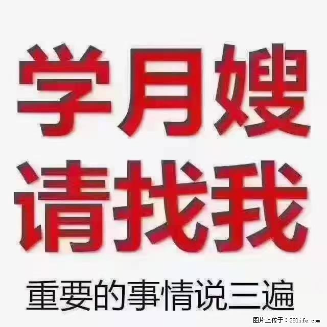 【招聘】月嫂，上海徐汇区 - 职场交流 - 沧州生活社区 - 沧州28生活网 cangzhou.28life.net