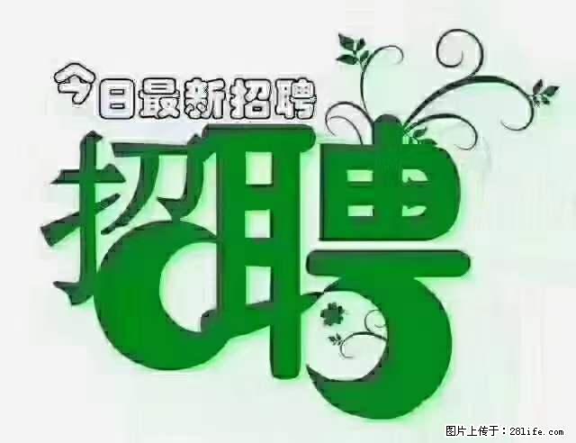 上海青浦区招仓管 - 职场交流 - 沧州生活社区 - 沧州28生活网 cangzhou.28life.net