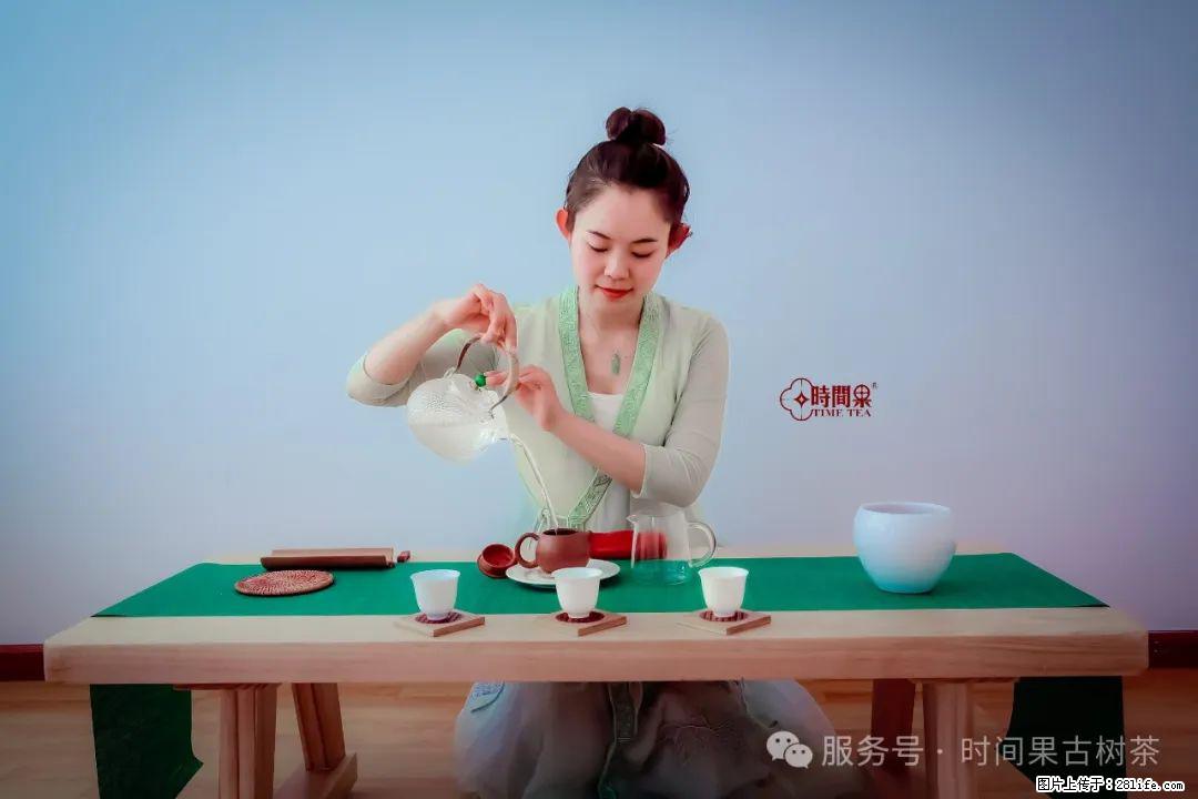 时间果百年古树龙珠普洱生茶 - 购物交流 - 沧州生活社区 - 沧州28生活网 cangzhou.28life.net
