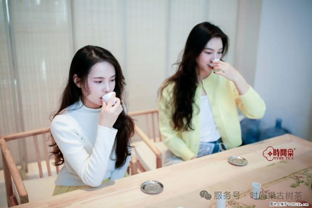时间果百年古树龙珠普洱生茶 - 购物交流 - 沧州生活社区 - 沧州28生活网 cangzhou.28life.net