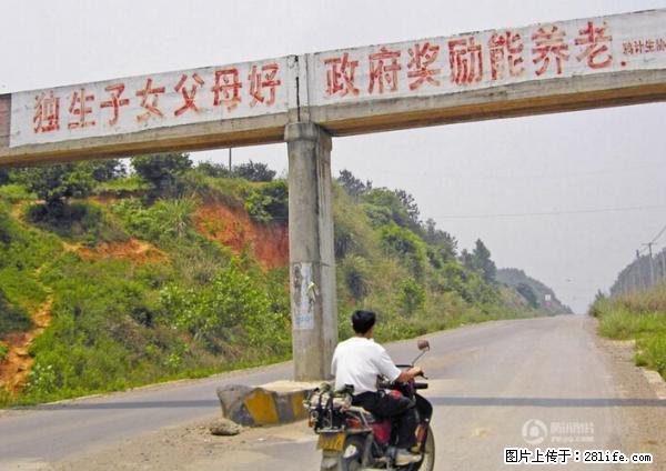 全面两孩政策计划明年元旦起实施 夫妻可延长生育假 - 沧州生活资讯 - 沧州28生活网 cangzhou.28life.net