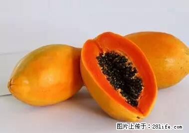 晕车、脚气、牙齿变黄、皮肤粗糙？学会这些三分钟搞定！ - 沧州生活资讯 - 沧州28生活网 cangzhou.28life.net