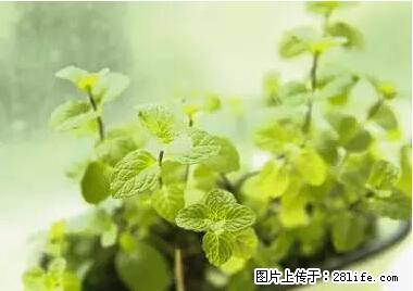 晕车、脚气、牙齿变黄、皮肤粗糙？学会这些三分钟搞定！ - 沧州生活资讯 - 沧州28生活网 cangzhou.28life.net
