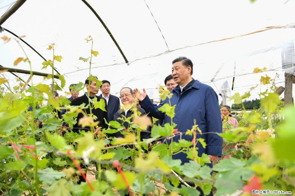 习近平赴广西考察调研 - 沧州生活资讯 - 沧州28生活网 cangzhou.28life.net