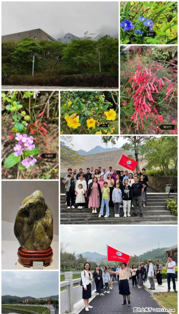 “粤灌文化 美好生活”油茶文化主题活动在广东深圳成功举办 - 沧州生活资讯 - 沧州28生活网 cangzhou.28life.net