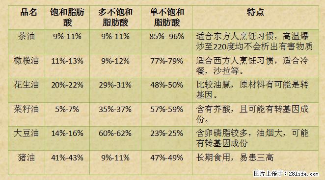 揭秘茶油的5大核心营养成分！被称为人体健康的“守护盾”！ - 沧州生活资讯 - 沧州28生活网 cangzhou.28life.net