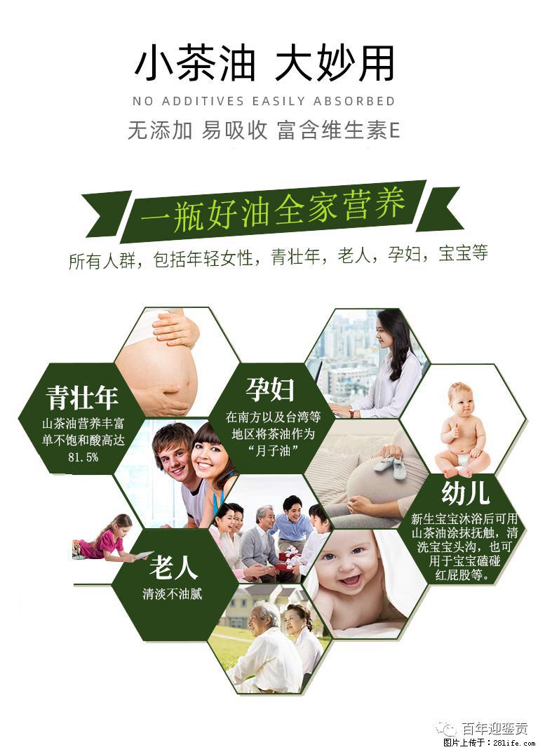 世界没有真相，只有认知，最好的食用油是中国的山茶油！ - 沧州生活资讯 - 沧州28生活网 cangzhou.28life.net