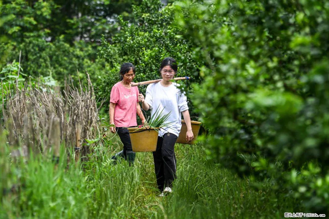 全网追的“扁担女孩”，找了一份暑假工，时薪12元 - 沧州生活资讯 - 沧州28生活网 cangzhou.28life.net