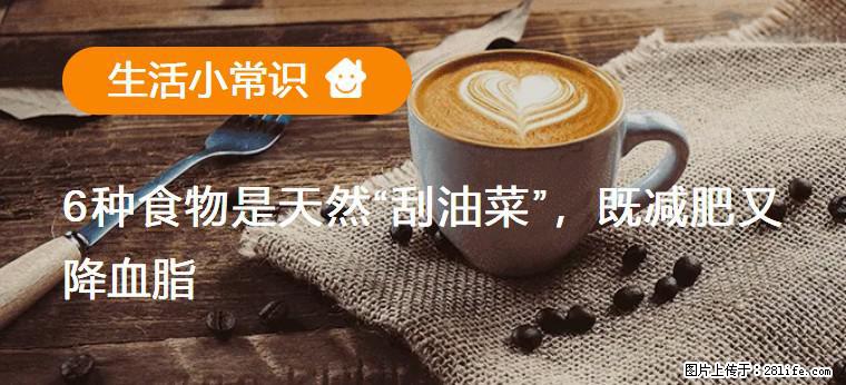 【生活小常识】6种食物是天然“刮油菜”，既减肥又降血脂 - 沧州生活资讯 - 沧州28生活网 cangzhou.28life.net