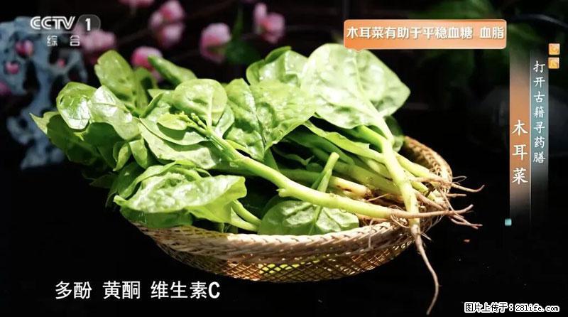 比牛奶补钙还厉害！凉血解毒、稳血糖...这菜冬天必吃，很多人却当草 - 沧州生活资讯 - 沧州28生活网 cangzhou.28life.net