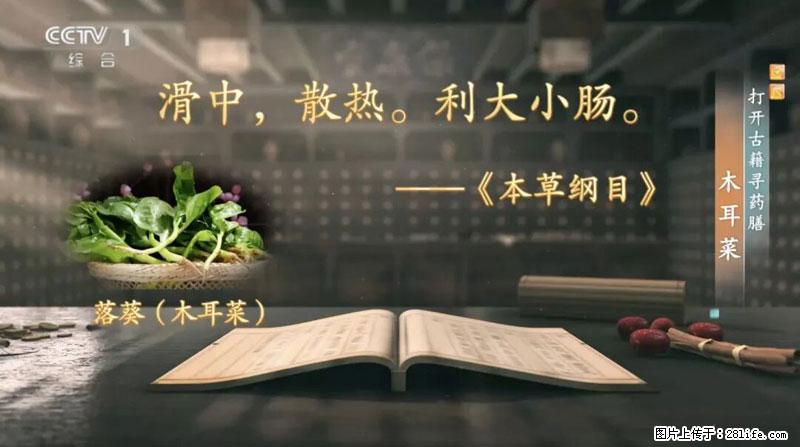 比牛奶补钙还厉害！凉血解毒、稳血糖...这菜冬天必吃，很多人却当草 - 沧州生活资讯 - 沧州28生活网 cangzhou.28life.net