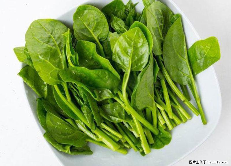 这些蔬菜是“天然钙片”，这6种被医生重点推荐 - 沧州生活资讯 - 沧州28生活网 cangzhou.28life.net